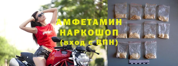 шишки Аркадак