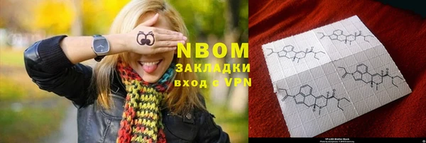 молекула духа Арсеньев
