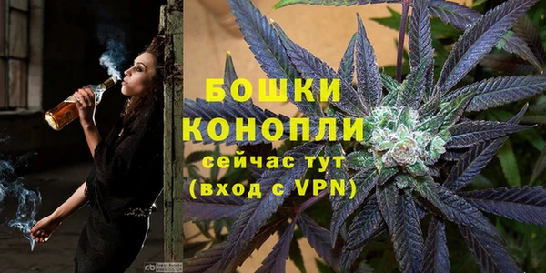 молекула духа Арсеньев