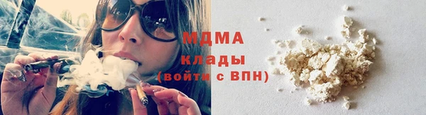 молекула духа Арсеньев