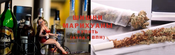 молекула духа Арсеньев