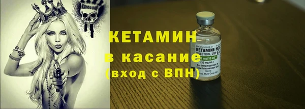 шишки Аркадак