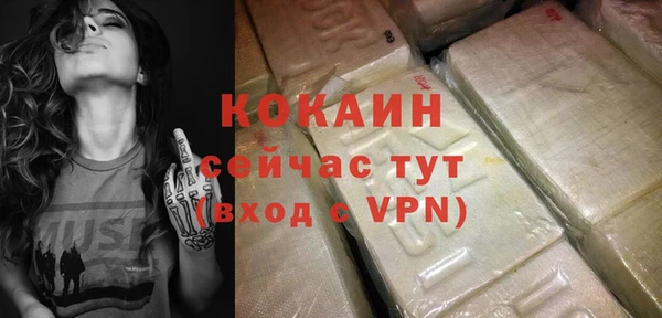 шишки Аркадак