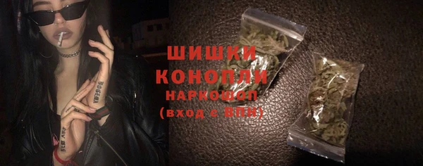молекула духа Арсеньев
