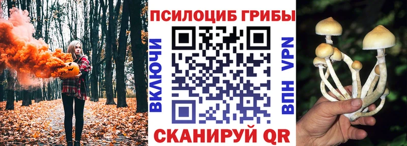 Галлюциногенные грибы Magic Shrooms  Цивильск 